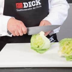 F.Dick Premier Plus kokkekniv 15cm